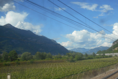 DSCN0648