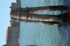 DSCN0851