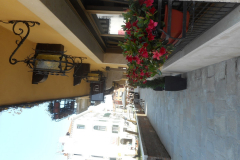 DSCN0878