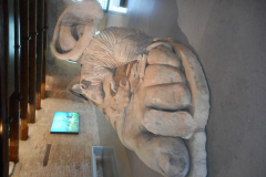 DSCN0927