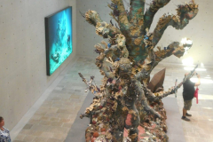 DSCN0930-e1497142632894