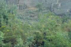 DSC01329