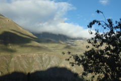 DSC01330