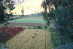 DSC01331