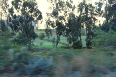 DSC01332