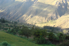 DSC01333