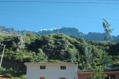 DSC01336