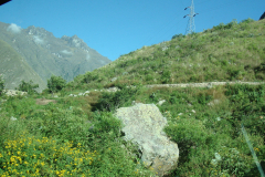 DSC01338