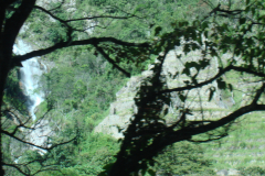 DSC01351