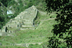 DSC01352