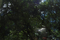 DSC01360